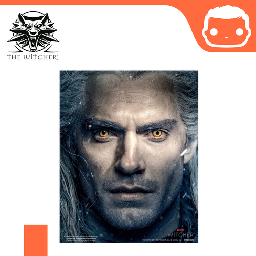 3D Framed Picture - The Witcher