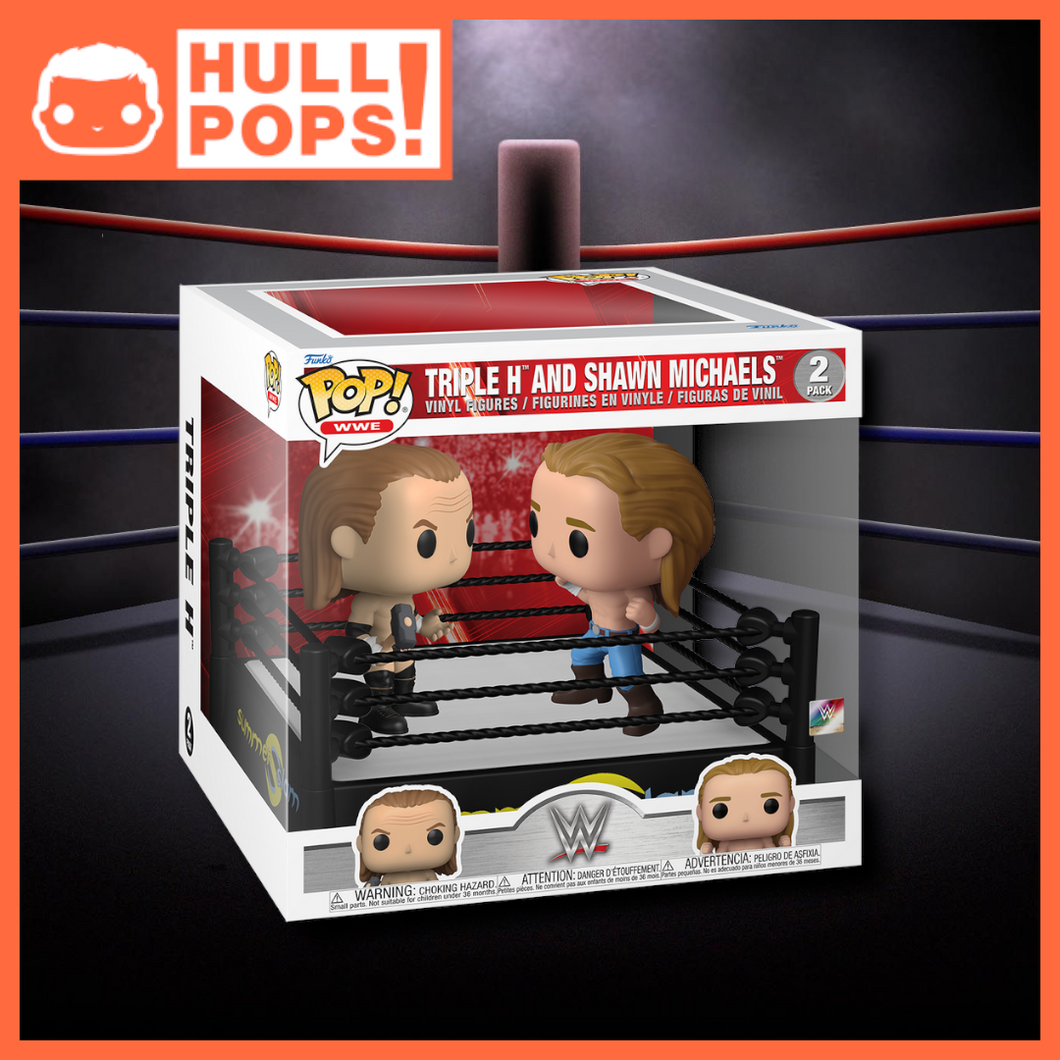 WWE - Triple H vs Shawn Michaels in Ring